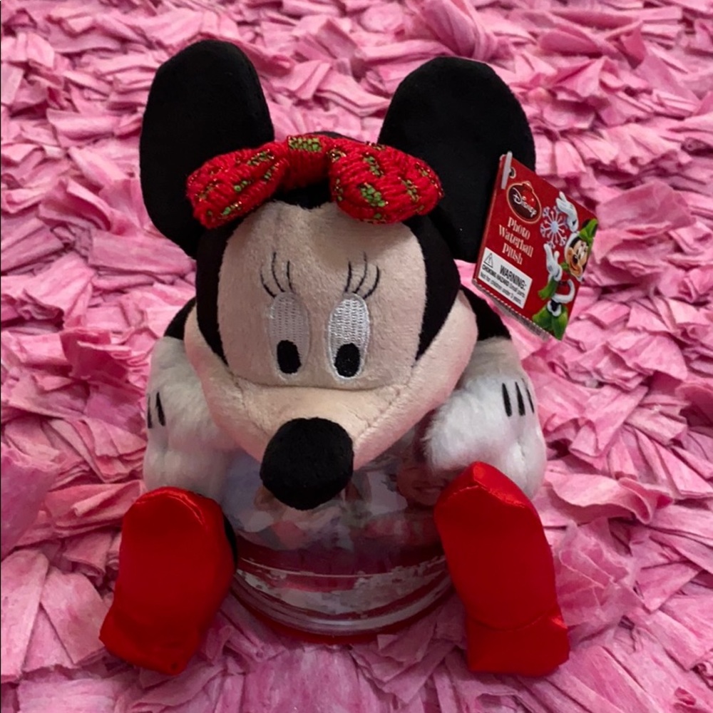 Disney Photo Waterball Plush